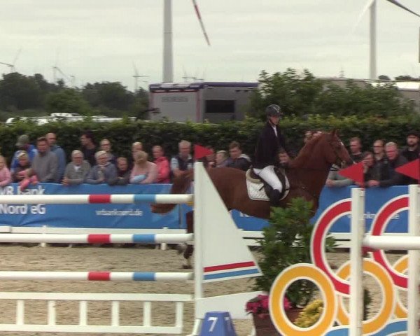 Reitturnier Hörup 2019