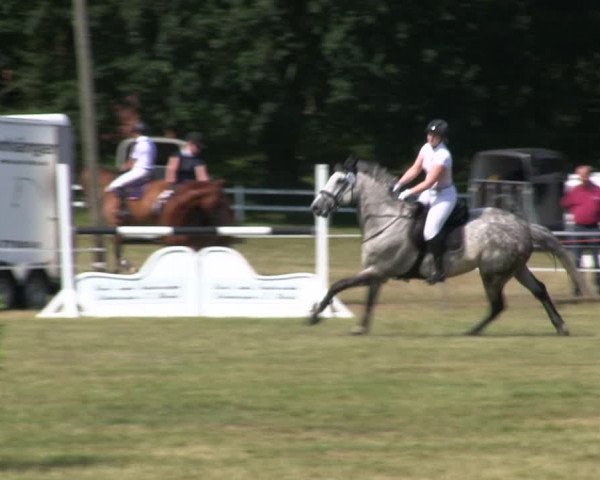 Reitturnier Heide 2019