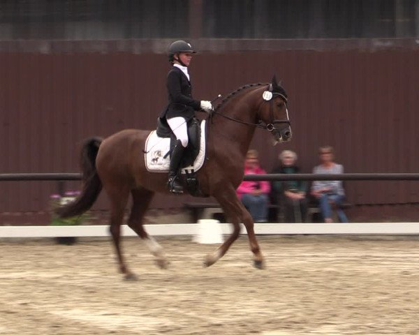 Reitturnier Marienheide-Kempershöhe 2019