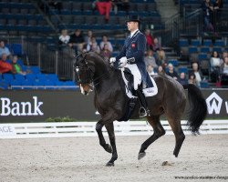dressage horse Super Nova II (Hanoverian, 2003, from De Niro)
