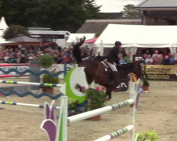 Reitturnier Hörup 2019