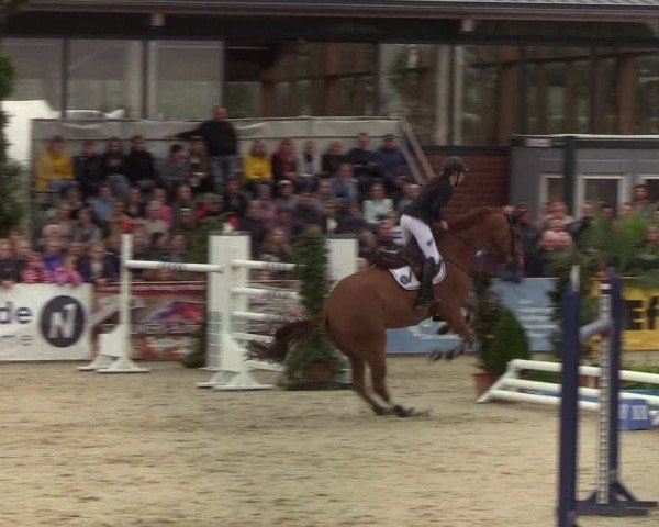 Reitturnier Hörup 2019
