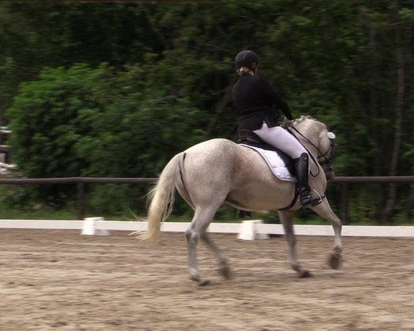 Reitturnier Marienheide-Kempershöhe 2019