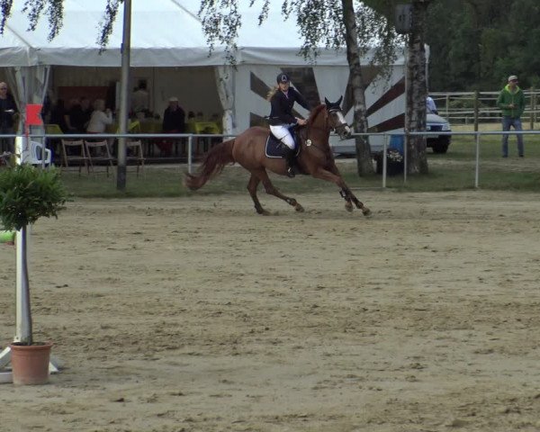 Reitturnier Herbern 2019
