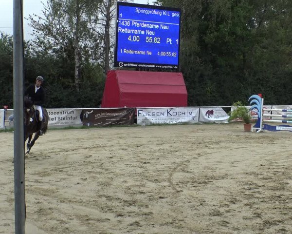 Reitturnier Herbern 2019