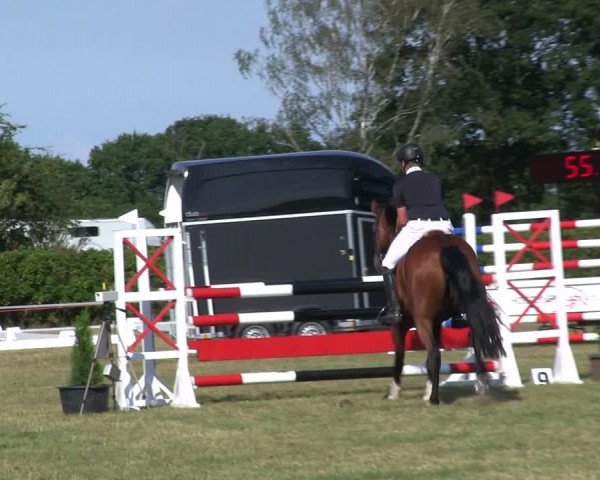Reitturnier Heide 2019