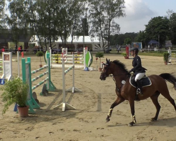 Reitturnier Herbern 2019