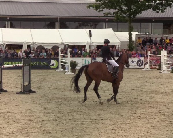 Reitturnier Hörup 2019