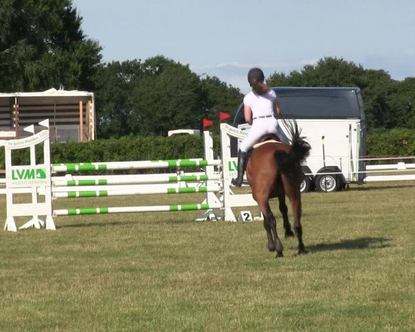 Reitturnier Heide 2019