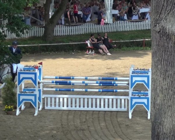 Reitturnier CSN Calvörde 2019