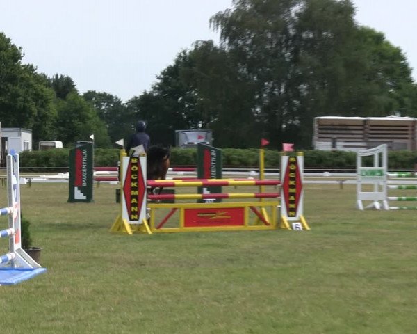 Reitturnier Heide 2019