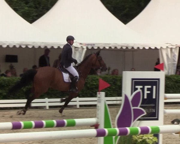 Reitturnier Hörup 2019