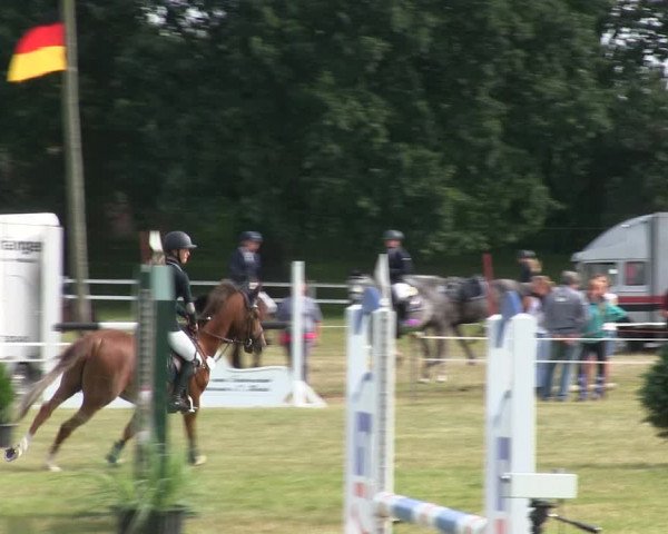 Reitturnier Heide 2019