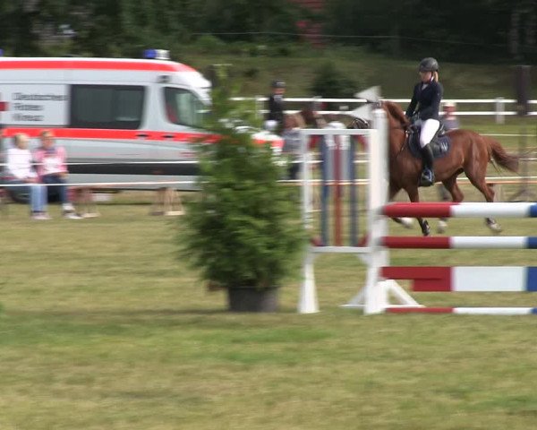 Reitturnier Heide 2019