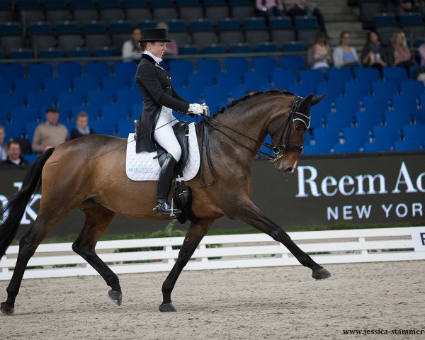 dressage horse Rosafina WRT (Trakehner, 2005, from Elfengeist) dressage horse Rosafina WRT (Trakehner, 2005, from Elfengeist)