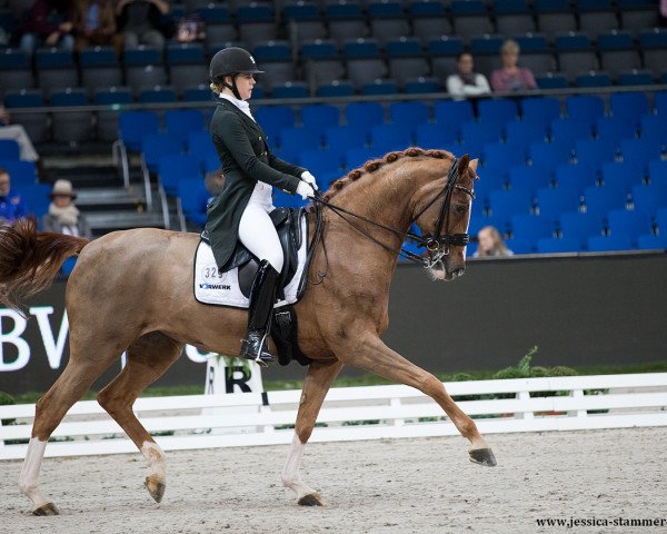 broodmare Lady Lissy (Westphalian, 2004, from Laureus NRW)