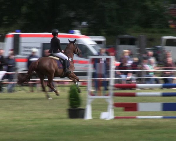 Reitturnier Heide 2019