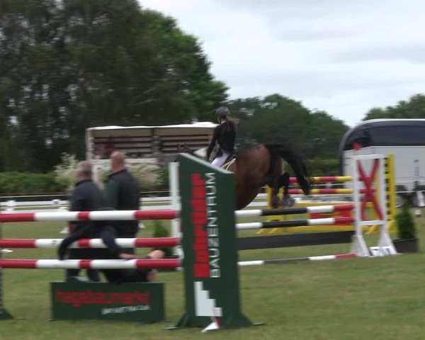 Reitturnier Heide 2019