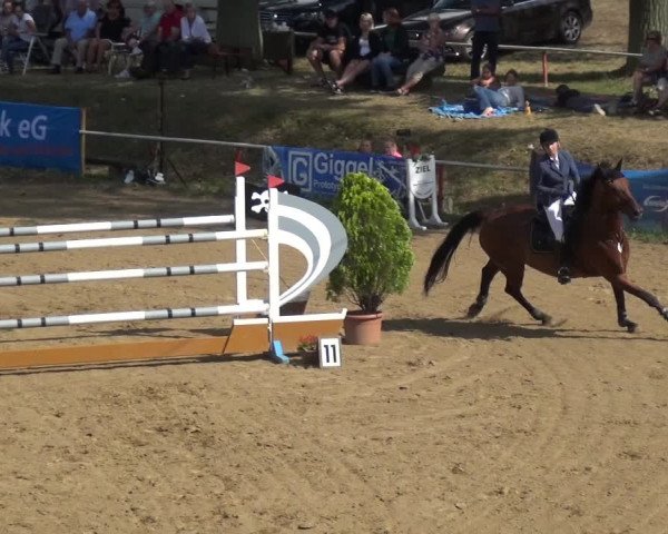 Reitturnier CSN Calvörde 2019