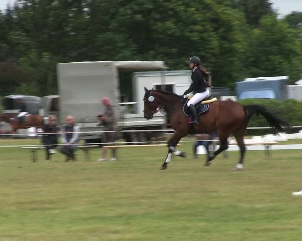 Reitturnier Heide 2019