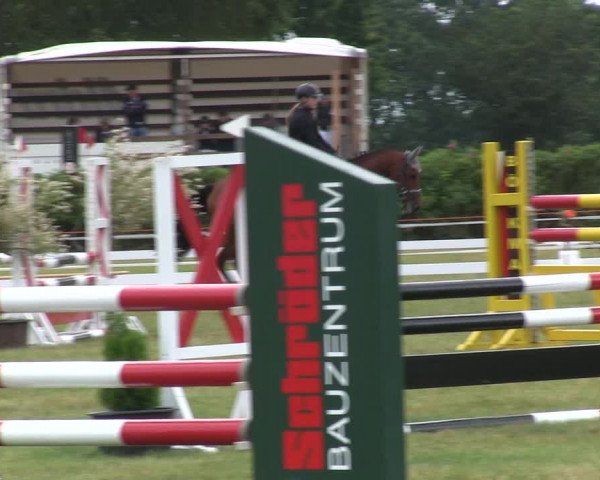 Reitturnier Heide 2019