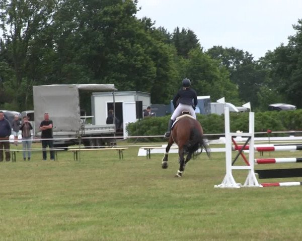 Reitturnier Heide 2019
