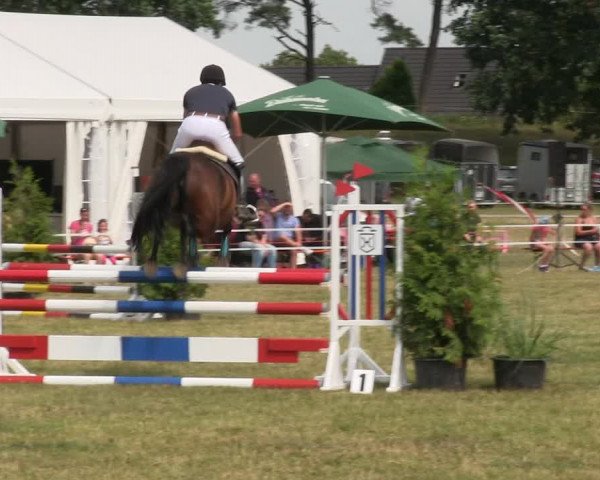 Reitturnier Heide 2019