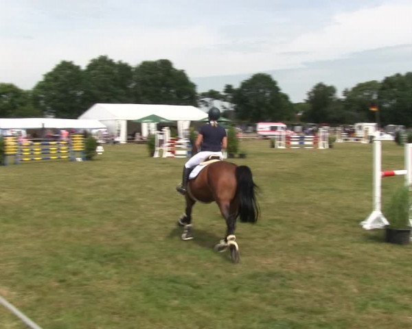 Reitturnier Heide 2019