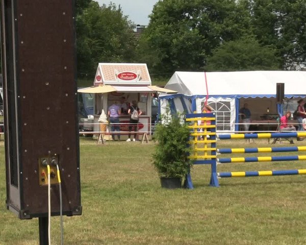Reitturnier Heide 2019