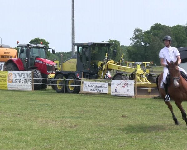 Reitturnier Heide 2019