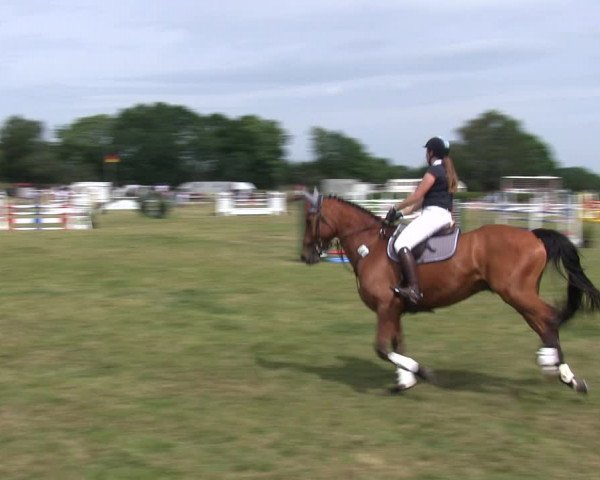 Reitturnier Heide 2019