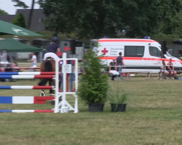 Reitturnier Heide 2019