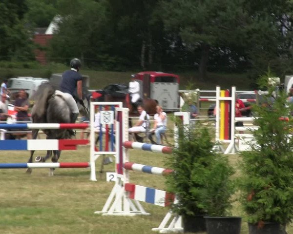 Reitturnier Heide 2019
