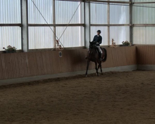 Reitturnier Herbern 2019