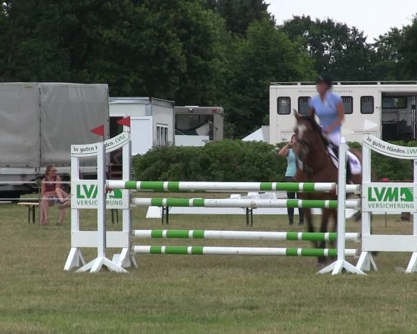 Reitturnier Heide 2019