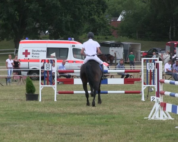 Reitturnier Heide 2019