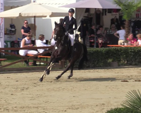 Equus Colonius - Reitanlage Brüse Köln 2021