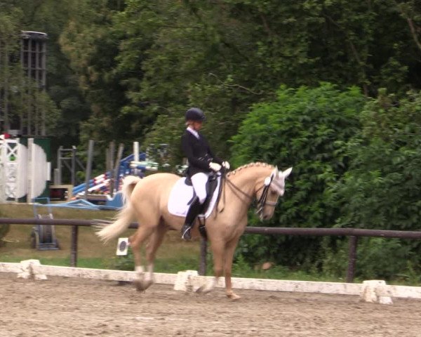 Reitturnier Marienheide-Kempershöhe 2019