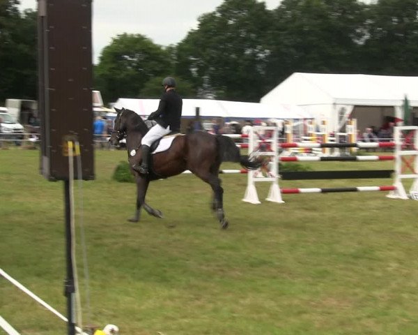 Reitturnier Heide 2019