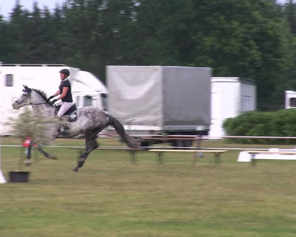 Reitturnier Heide 2019