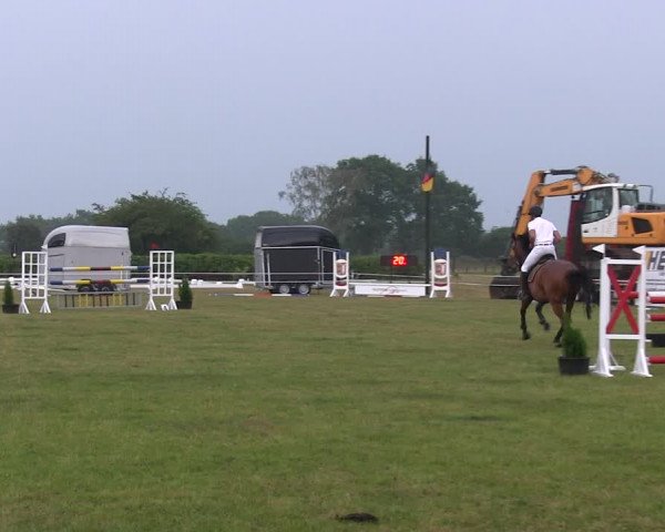 Reitturnier Heide 2019