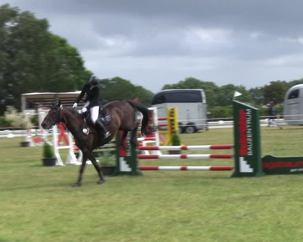 Reitturnier Heide 2019