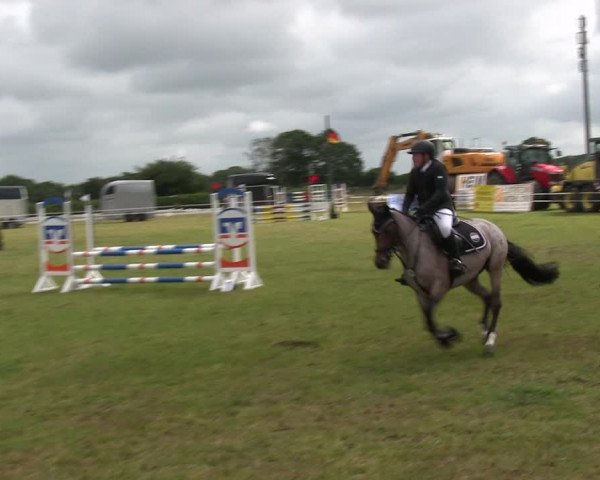 Reitturnier Heide 2019