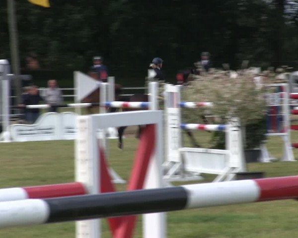 Reitturnier Heide 2019