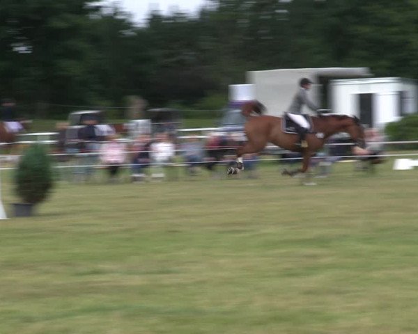 Reitturnier Heide 2019