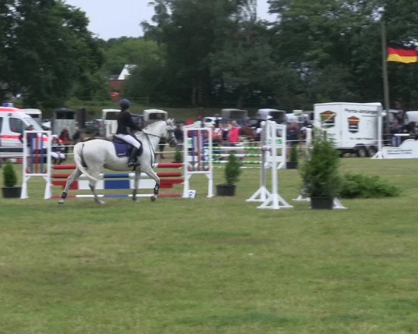 Reitturnier Heide 2019