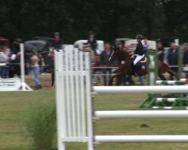 Reitturnier Heide 2019