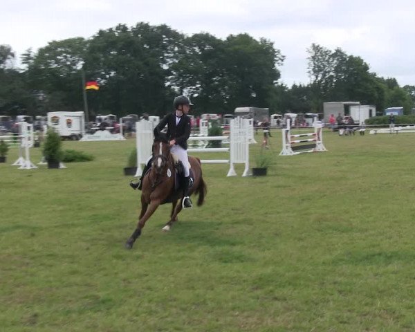 Reitturnier Heide 2019