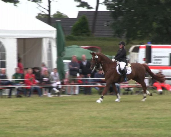 Reitturnier Heide 2019