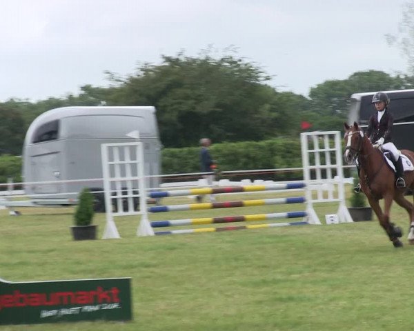 Reitturnier Heide 2019